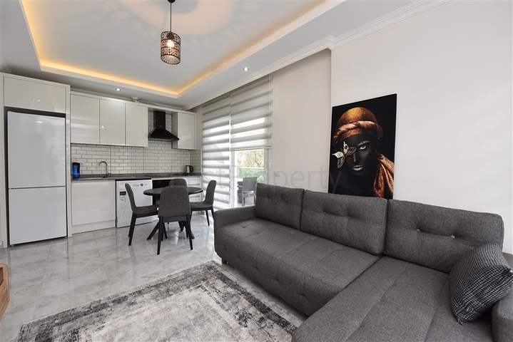 شقة بغرفة نوم واحدة مع أثاث للإيجار