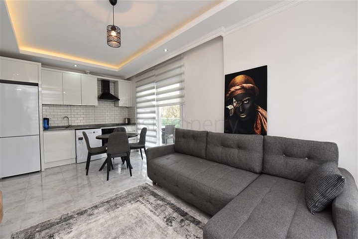 شقة بغرفة نوم واحدة مع أثاث للإيجار