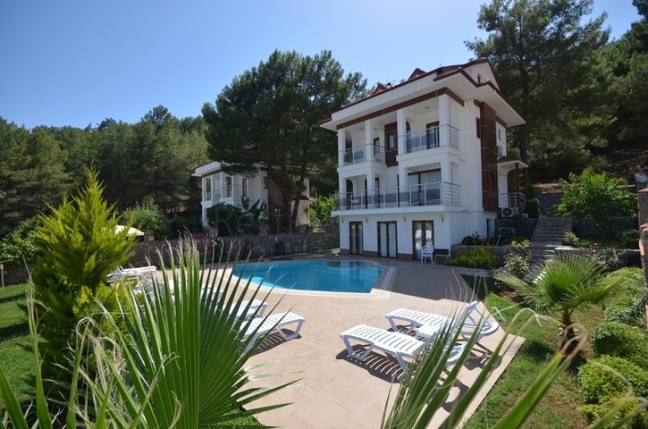 فيلا للبيع بالقرب من بحيرة هيسارونو