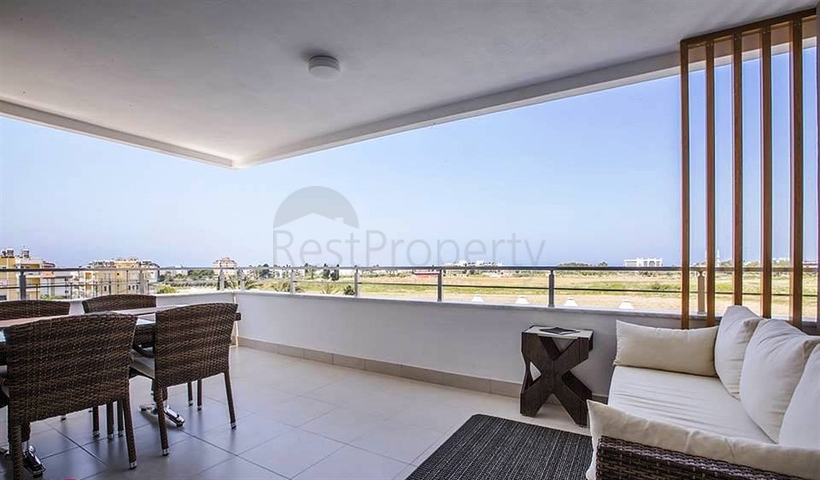 مشروع بالاقساط في الانيا 