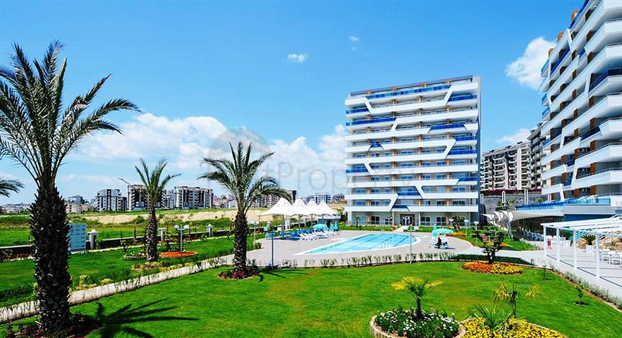 مشروع بالاقساط في الانيا 