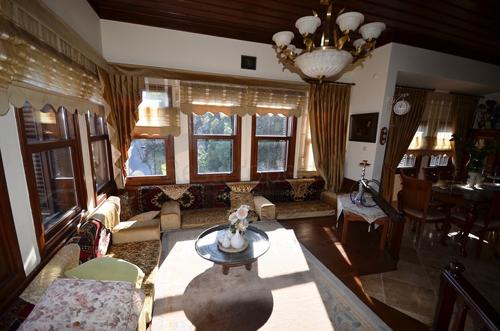 فيلا فاخرة في الانيا التاريخية 