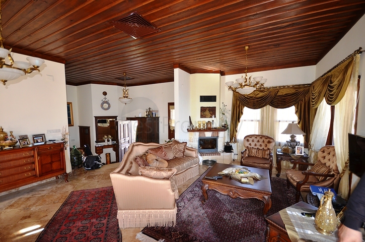 فيلا فاخرة في الانيا التاريخية 