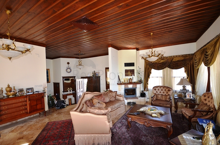 فيلا فاخرة في الانيا التاريخية 