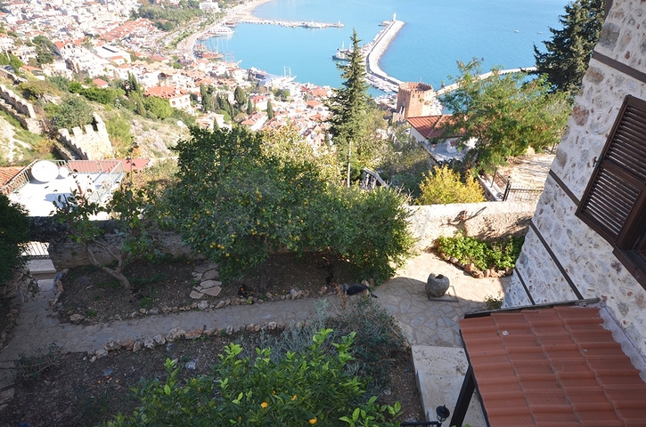 فيلا فاخرة في الانيا التاريخية 