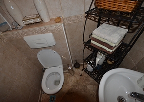 فيلا فاخرة في الانيا التاريخية 