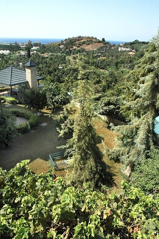 لمحبي الرفاهية والرقي والراحة فيلا على الطراز الفاخر في منطقة كاستل – ألانيا