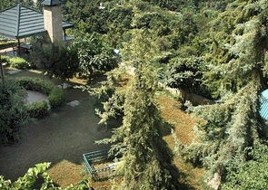 لمحبي الرفاهية والرقي والراحة فيلا على الطراز الفاخر في منطقة كاستل – ألانيا