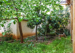 أرض مع مشروع فندقي في كاليشي في أنطاليا