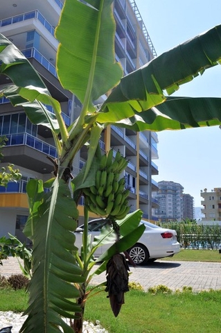 مشروع فاخر بالمراحل النهائية من البناء في منطقة محمودلار – ألانيا