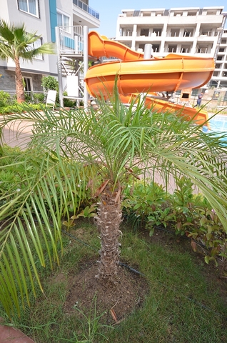 شقة 1+1 في مجمع مخطط فندقي في كيستل