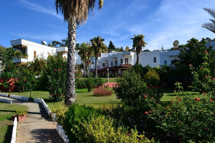 فيلا بسعر جيد في ألانيا 