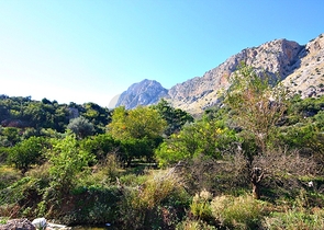 مشروع سكني جديد في انطاليا