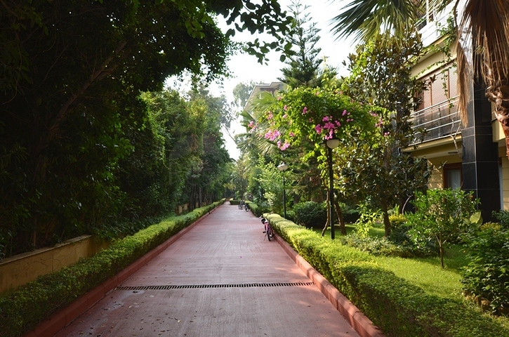 شقة في مجمع مميز في الانيا