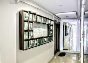 شقة غرفة و صالة قريبة من البحر في كونيالتي - انطاليا