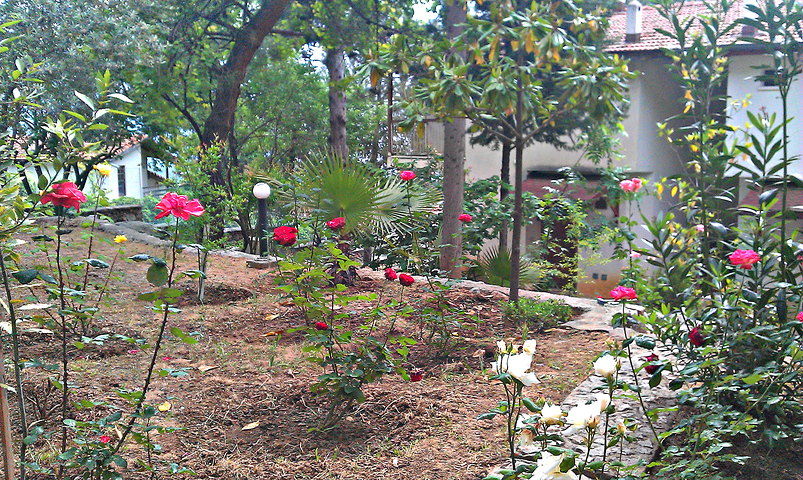 فيلا غرفتين و صالة في كيمير