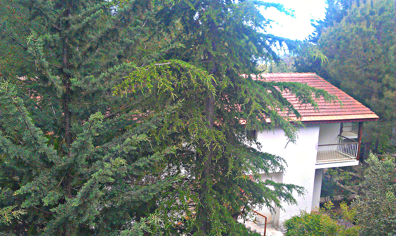 فيلا غرفتين و صالة في كيمير