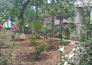 فيلا غرفتين و صالة في كيمير