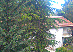 فيلا غرفتين و صالة في كيمير