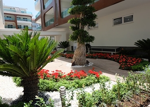 شقة غرفة و صالة في مركز الانيا