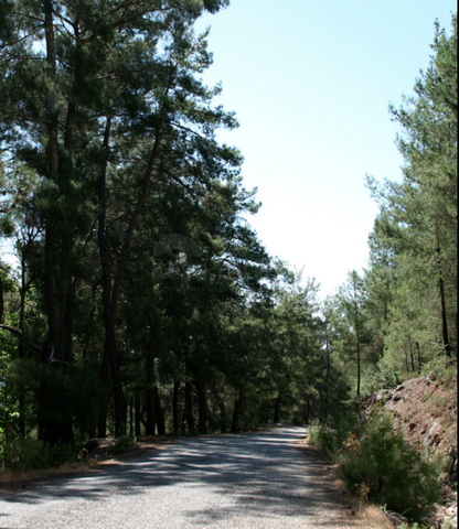 فلل ضمن مشروع فاخر في مدينة كيمير