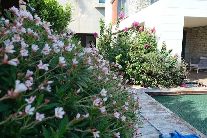 مشروع فيلا فاخرة مطلة على القلعة القديمة والبحر في وسط بودروم