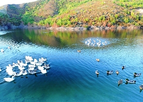 شقق وفلل ضمن مجمع غولد سيتي / الانيا 