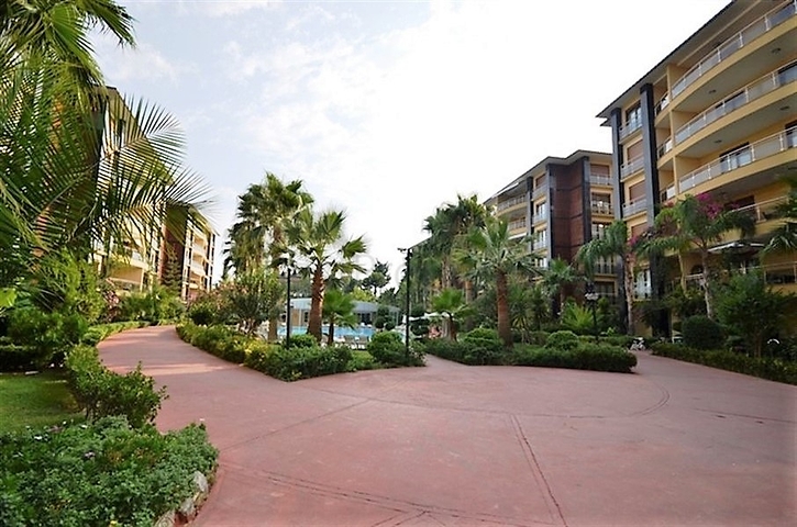 شقق على الساحل الأول للإيجار