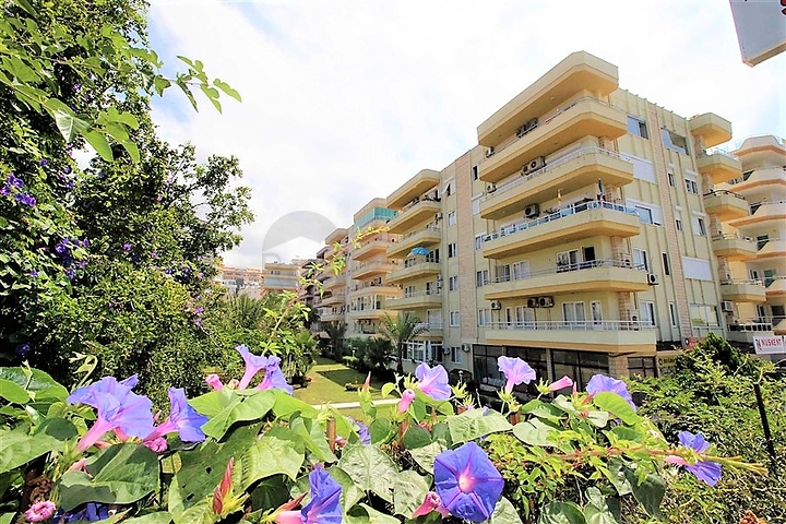 اول خط على البحر وبسعر مميز - شقة غرفتين وصالة في الانيا 