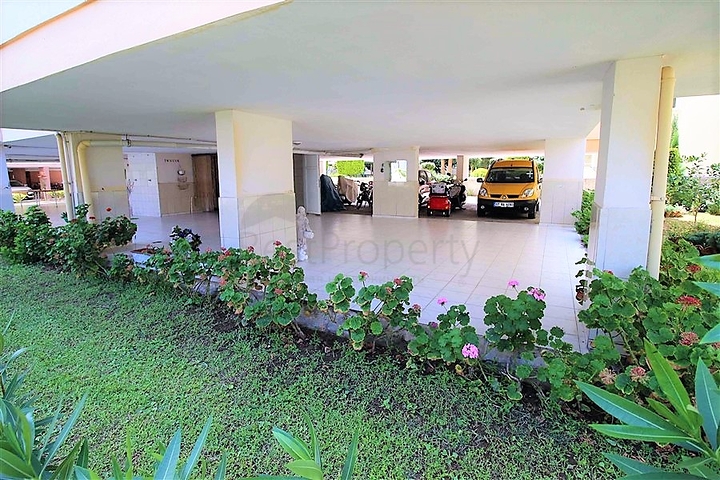 اول خط على البحر وبسعر مميز - شقة غرفتين وصالة في الانيا 