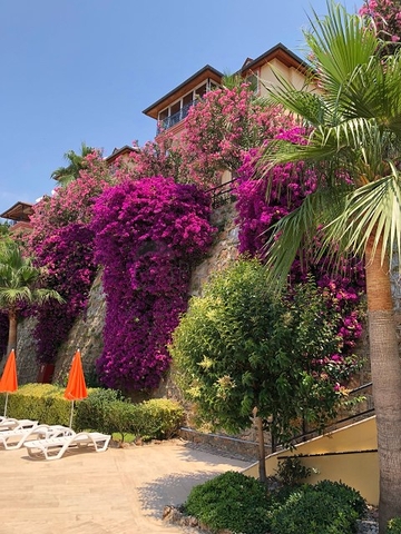 شقة بمساحة واسعة مؤثثة في الانيا / كاستل