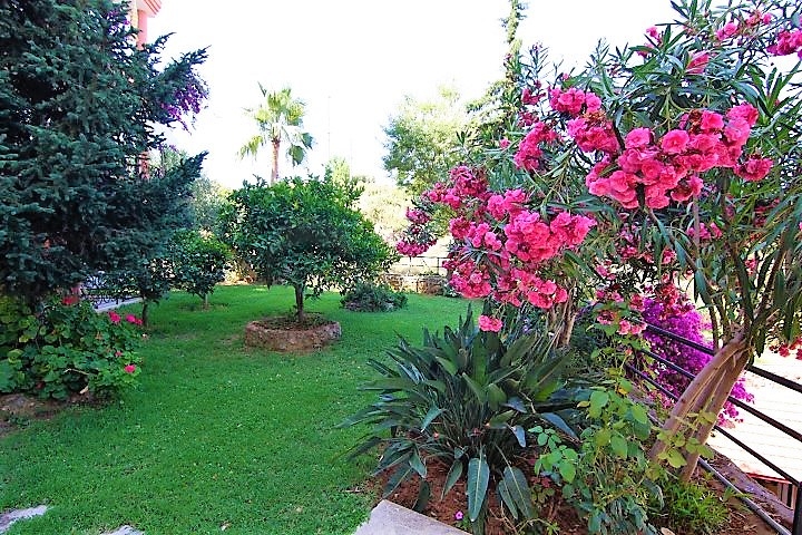 شقة بمساحة واسعة مؤثثة في الانيا / كاستل