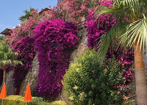 شقة بمساحة واسعة مؤثثة في الانيا / كاستل