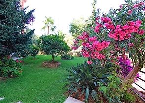 شقة بمساحة واسعة مؤثثة في الانيا / كاستل