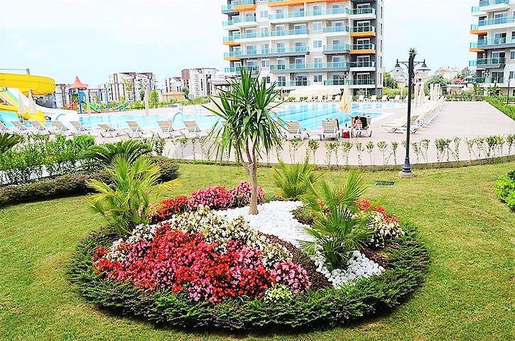 شقة فسيحة بغرفة نوم واحدة في مجمع جديد