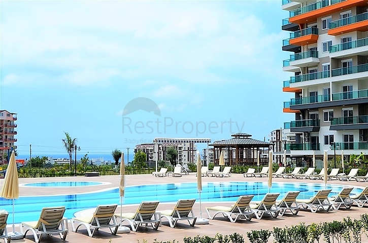 شقة فسيحة بغرفة نوم واحدة في مجمع جديد