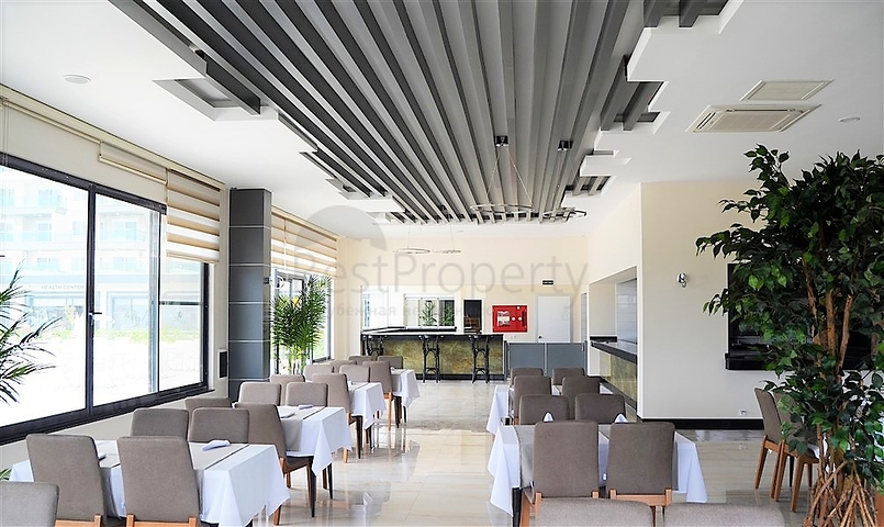 شقة فسيحة بغرفة نوم واحدة في مجمع جديد