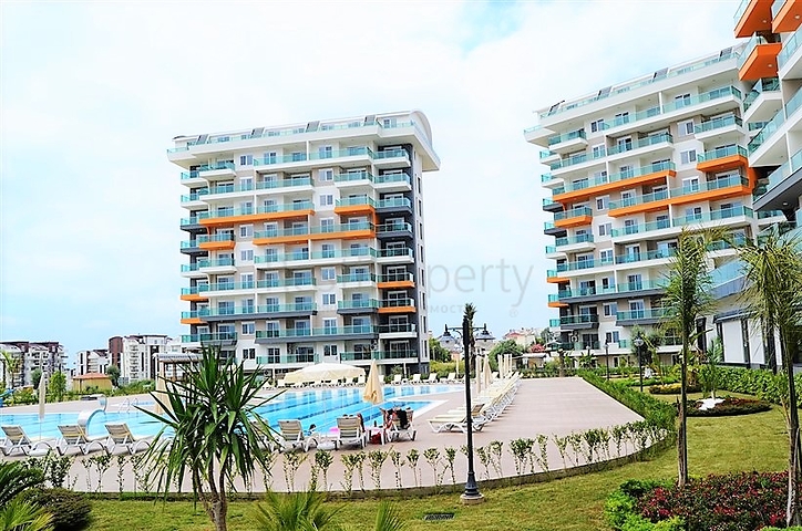 شقة فسيحة بغرفة نوم واحدة في مجمع جديد