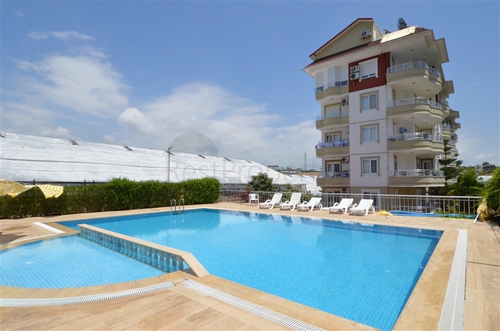 بسعر مناسب - شقة غرفتين وصالة في منطقة افسلار / الانيا 