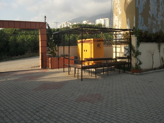 شقة بسعر مغرِ في الانيا / محمودلار