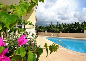 شقة بسعر مغرِ في الانيا / محمودلار