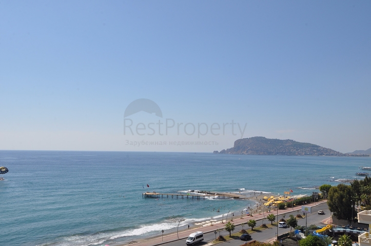 شقة غرفتين وصالة على البحر مباشرةً في الانيا 