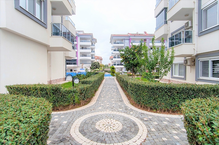 شقة بغرفة نوم وصالة في كاستيل / الانيا 