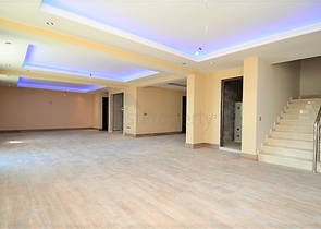 قصر فاخر باطلالة بحرية في الانيا 