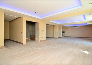 قصر فاخر باطلالة بحرية في الانيا 