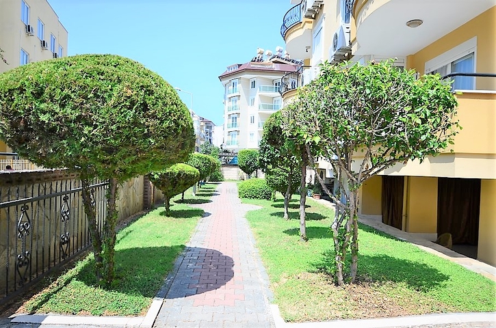 شقة غرفتين وصالة مفروشة - في مركز الانيا 