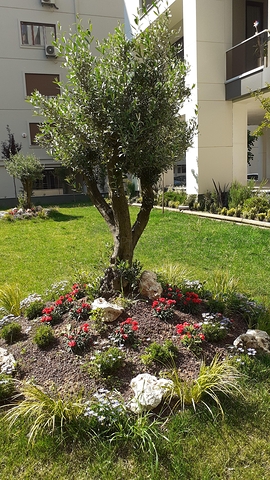 شقة فاخرة ضمن منطقة كاديكوي بالقسم الاسيوي من اسطنبول 