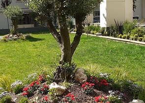 شقة فاخرة ضمن منطقة كاديكوي بالقسم الاسيوي من اسطنبول 