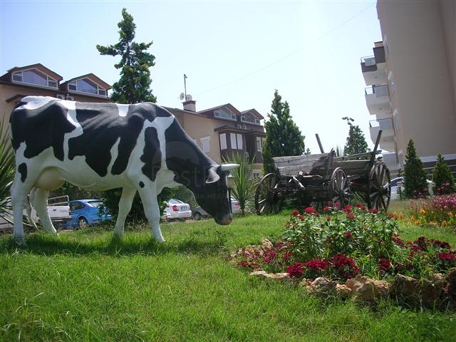 شقق للبيع في أفسللار / ألانيا 