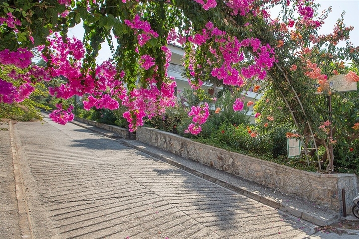 اطلالة بحرية - شقة 2 غرفة وصالة -مؤثثة - في كارجي جاك / الانيا 